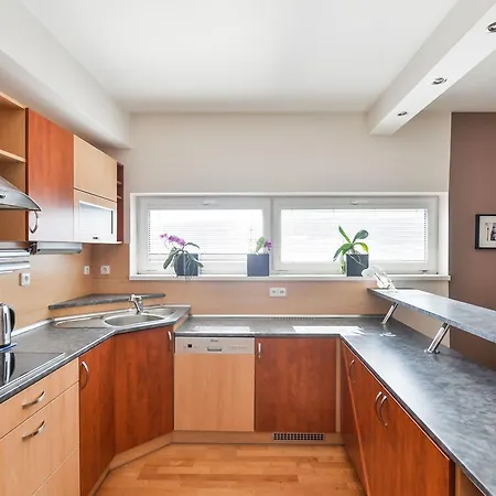 Apartment Guestin 3room Family @ Podebradska *